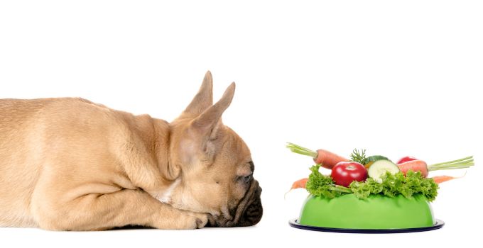 Welches Gemüsse können Hunde essen